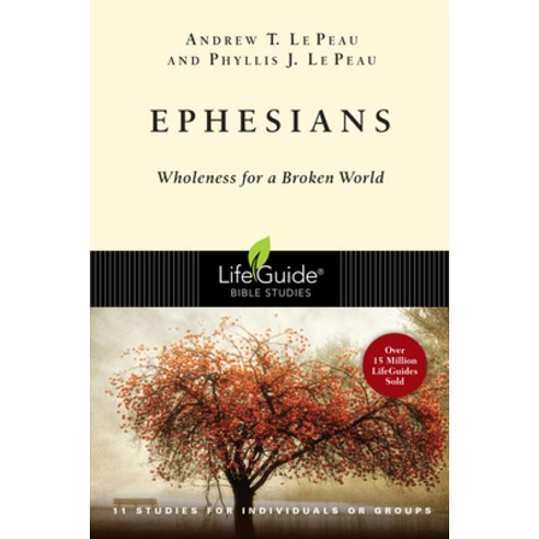 Ephesians: Wholeness for a Broken World Paperback, IVP Connect, English, 9780830830121
