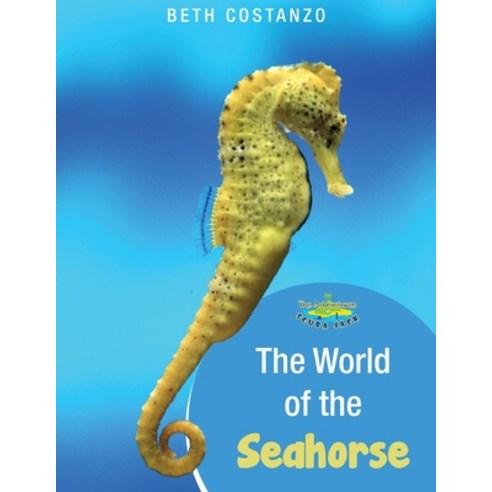 (영문도서) Seahorse Activity Workbook For Kids ages 4-8 Paperback, Adventures of Scuba Jack, English, 9781087957111