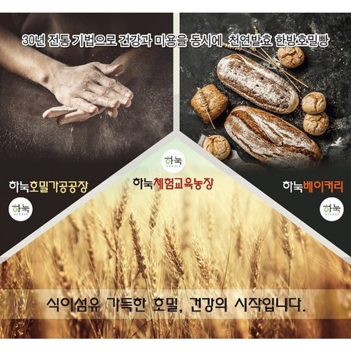 건강과 맛을 모두 담은 하눅 천연발효호밀빵