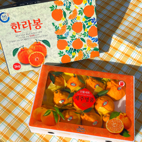 [프리미엄] 지니네농원 서귀포 한라봉 선물세트 고당도 포장, 가정용 벌크 5kg, 1박스 - 한라봉 | 쿠팡