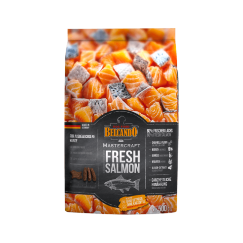 반려견의 건강을 위한 최상의 선택