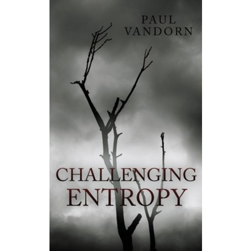 (영문도서) Challenging Entropy Paperback, Cold Front Publishing, English, 9781737966227