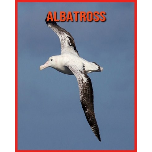 Albatross: Beautiful Pictures & Interesting Facts Children Book About Albatross Paperback, Independently Published, English, 9798706086787