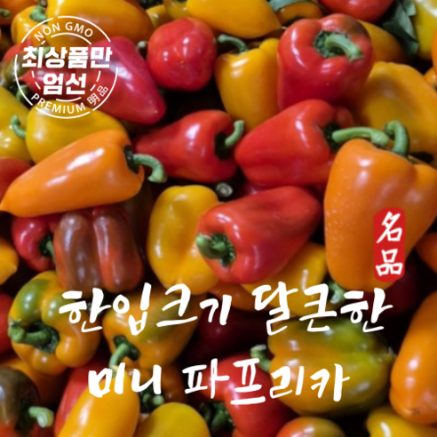 달큰한 미니 파프리카 국산 한입 파프리카 1kg, 씨없는 미니파프리카 빨갠색 1kg, 1박스 달큰한 미니 파프리카 국산 한입 파프리카 1kg, 씨없는 미니파프리카 빨갠색 1kg, 1박스