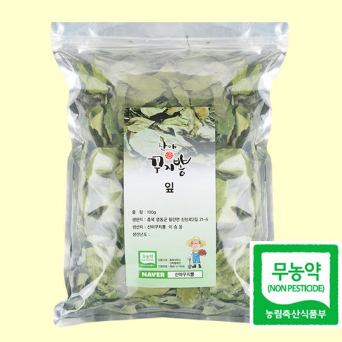 국산 무농약 꾸지뽕 잎
