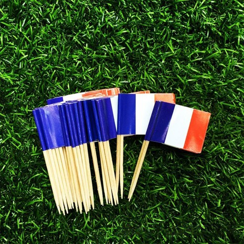 TeeFly 100 PCS National Flags Picks Art Toothpicks 파티 컵케익 장식 샌드위치 미니 음식, 프랑스 100.