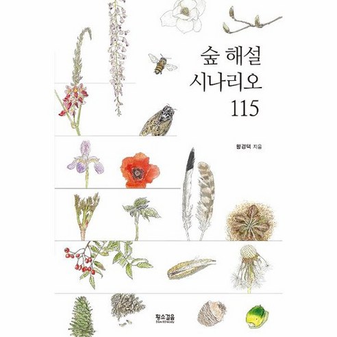 [황소걸음]숲 해설 시나리오 115 (개정판), 황경택, 황소걸음