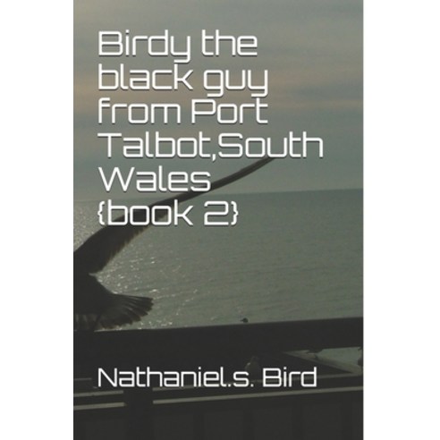Birdy the black guy from Port Talbot South Wales {book 2} Paperback, Independently Published
