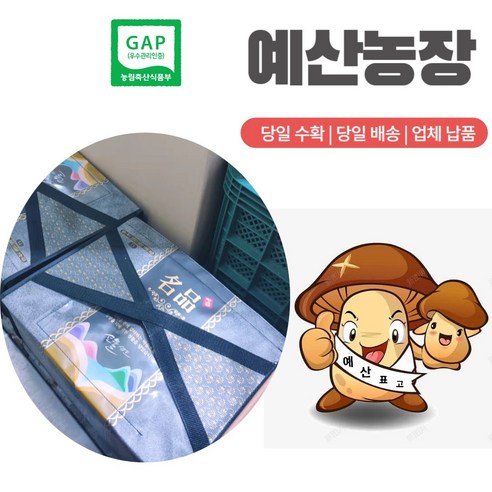 GAP인증 생표고버섯 선물세트 100% 산지직송 화고 표고버섯 선물세트 설 추석 명절선물 고급형 선물용 상자 보자기 포장, 2kg 부직포 선물세트3, 1개