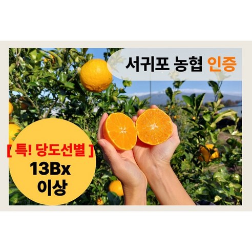 서귀포농협인증 당도선별 천혜향 제철과일 만감류 1kg 2.5kg 4.5kg, 1개 Best Top5