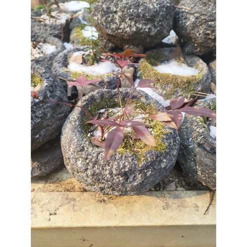 제주의 숨결을 담은 미니 돌화분으로 일상에 작은 행복을 더하세요