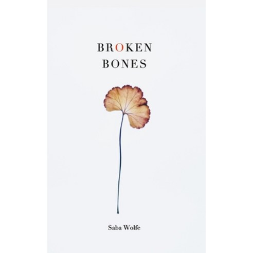 Broken Bones Paperback, Blurb