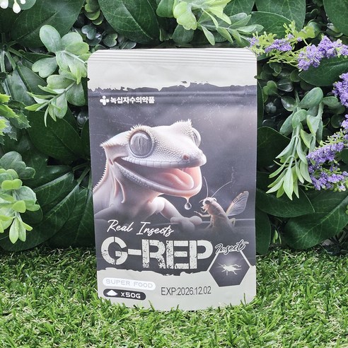 녹십자 G-REP 크레스티드 게코 슈퍼푸드 인섹트, 1개, 50g