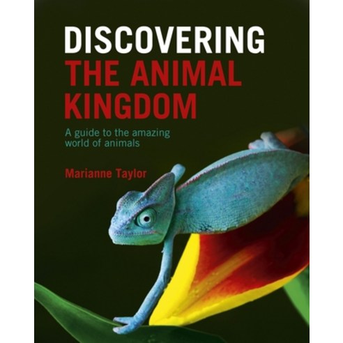 (영문도서) Discovering the Animal Kingdom: A Guide to the Amazing World of Animals Hardcover, Sirius Entertainment, English, 9781398809666