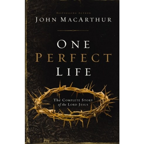 (영문도서) One Perfect Life: The Complete Story of the Lord Jesus Paperback, Thomas Nelson, English, 9780310165750