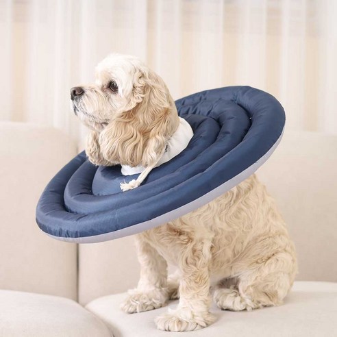 반려동물의 안전과 건강을 위한 두유레디 넥카라