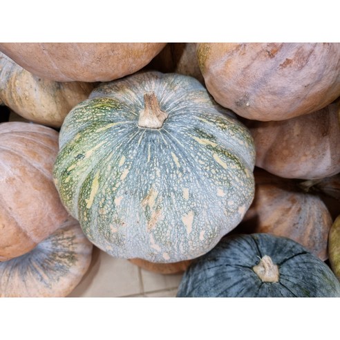 붓기 OUT! 홍열팜 유기농 늙은호박즙으로 V라인과 건강을 동시에!