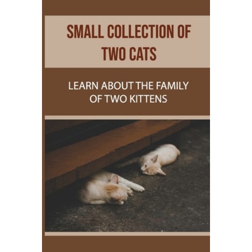 (영문도서) Small Collection Of Two Cats: Learn About The Family Of Two Kittens: Cat Family Paperback, Independently Published, English, 9798464738393