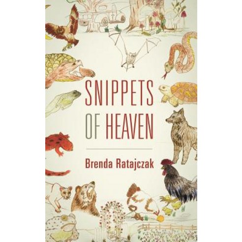 (영문도서) Snippets of Heaven Hardcover, Outskirts Press, English, 9781977203052