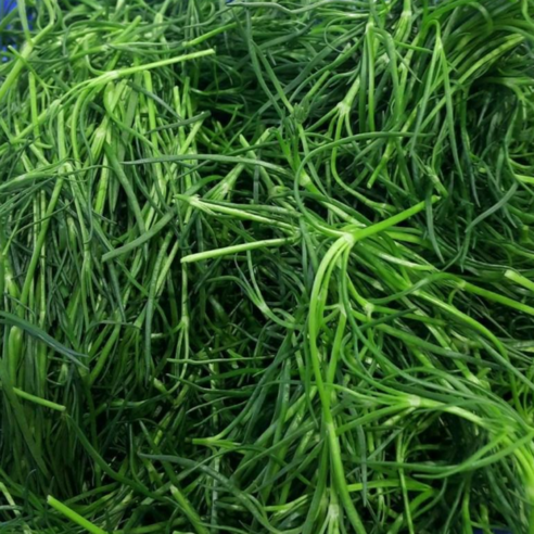 국내산 해남 산지직송 해풍 세발나물 최상품 2kg 4kg(박스포함) 알뜰농장, 1개, 2kg