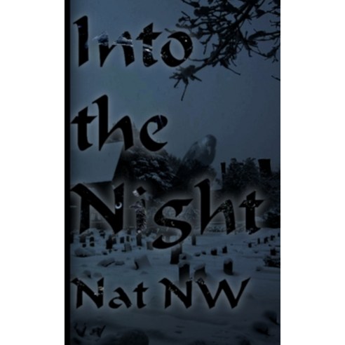 (영문도서) Into the Night Paperback, Nat NW, English, 9781088007228
