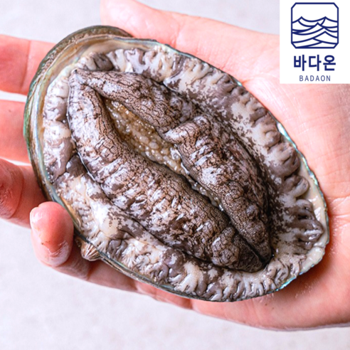 [입점할인] 완도활전복 1kg [산소팩 무료배송], 1개, (6호) 11-12미1kg