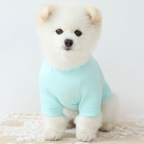 럭키페터 무지 강아지 옷 소형견 대형견 티셔츠, 민트