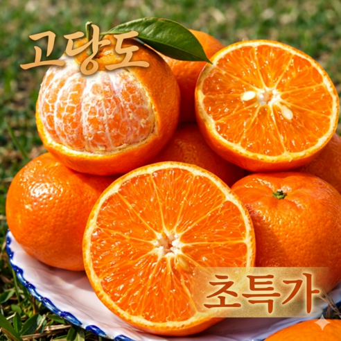 [초특가] 농장직송 고당도 최대16brix 카라향, 1개, 5kg