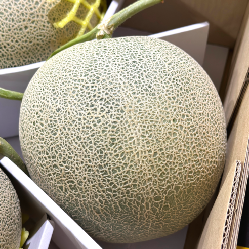 가정용 머스크 멜론, 2개, 2kg내외