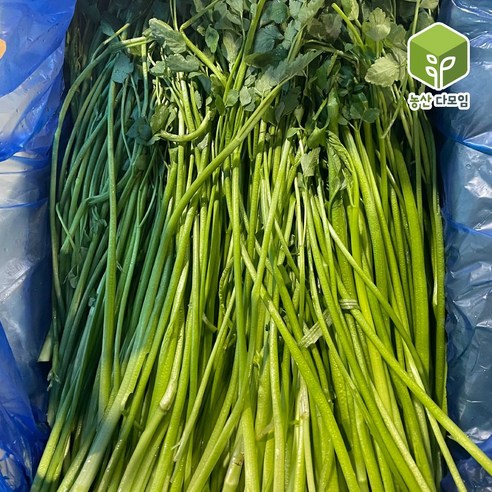 미나리 4kg 2박스 묶음, 1개
