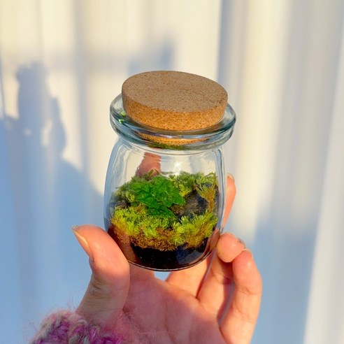 도롯 소중한 완성형 이끼 테라리움 제주애기모람 인테리어 집들이 선물 set, 소중한 테라리움 A타입