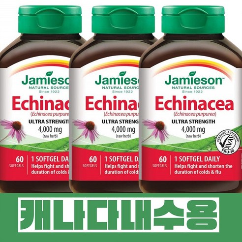 고효능 에키네시아 4000mg 면역기능증진 하루1정 3세트 1통60캡슐 자미에슨 캐나다직배송, 3개, 60캡슐