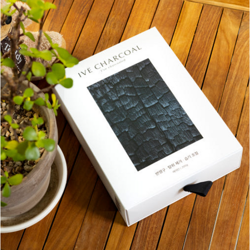 이브차콜 에어탄으로 쾌적한 새 출발을!