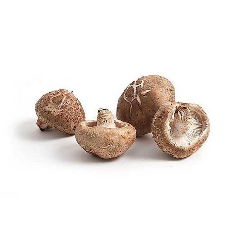 무농약인증과 GAP인증을 받은 표고버섯 산지직송 생표고버섯 고급형 이유식