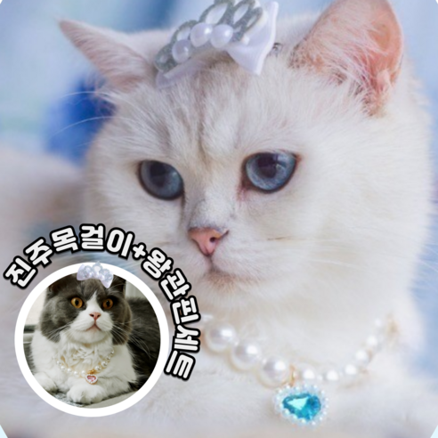 엘린몰 반려동물 애견 고양이 강아지 진주 목걸이 왕관집게핀, 1개, 3-화이트목걸이 왕관집게핀