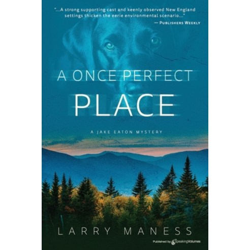 A Once Perfect Place Paperback, Speaking Volumes, English, 9781645403296