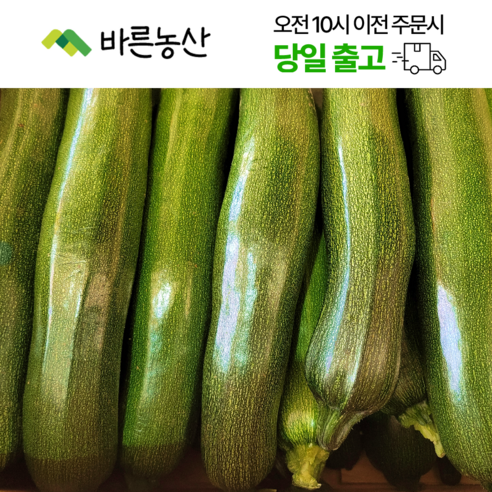 < 바른농산 > 국내산 주키니호박 쥬키니호박 못난이