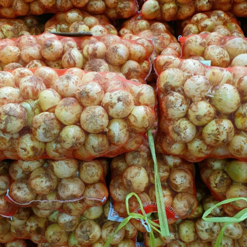 24년 청원농산 햇양파 10kg, 20kg