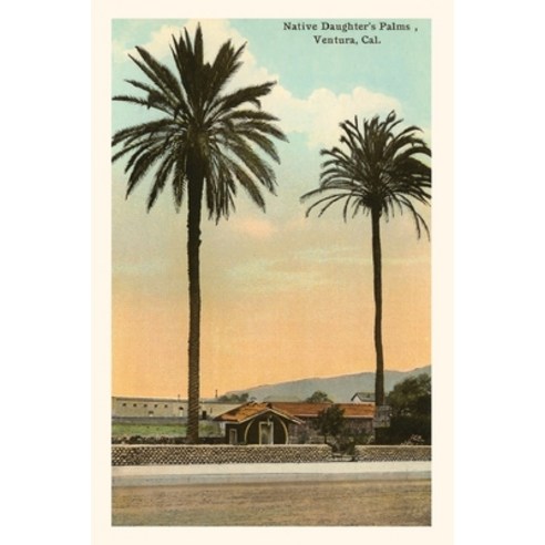 (영문도서) The Vintage Journal Native Daughter''s Palms Ventura California Paperback, Found Image Press, English, 9781648116193