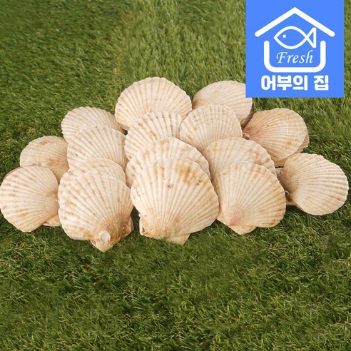 신선하고 맛있으며 영양가 풍부한 어부의집 제철 대왕 가리비