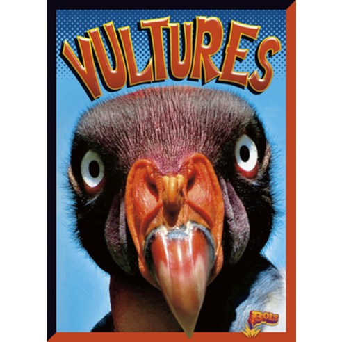 (영문도서) Vultures Library Binding, Black Rabbit Books, English, 9781623105570