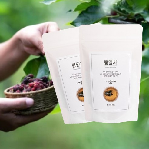 청년농원 저온가공 뽕잎차 삼각티백, 1g, 50개입, 2개