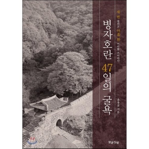 병자호란 47일의 굴욕, 말글빛냄, 윤용철 저