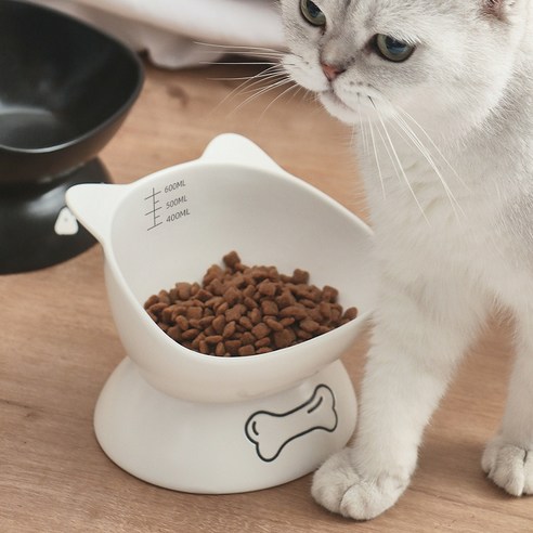 골드 반려동물 고양이 강아지 도자기식기 대형 600ML [A0019], 1개, 화이트