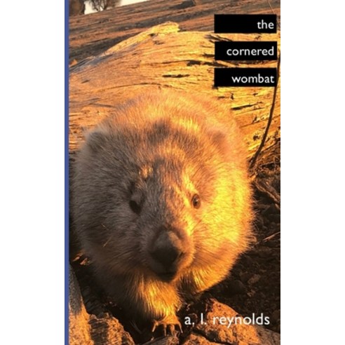 The Cornered Wombat Paperback, Independently Published, English, 9798558756494