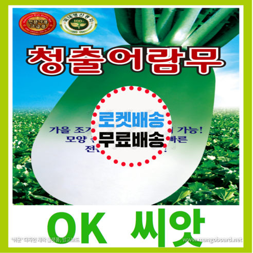 [OK씨앗] [청출어람무] 김장무씨앗(오케이씨앗), 1개