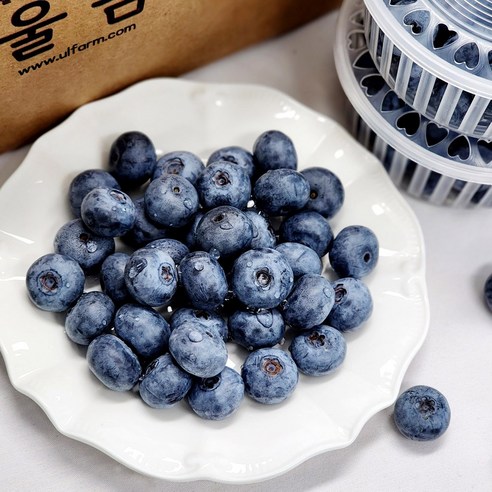 국내산 울팜 장흥 산청 블루베리 생과, 2개, 블루베리(대)_100g