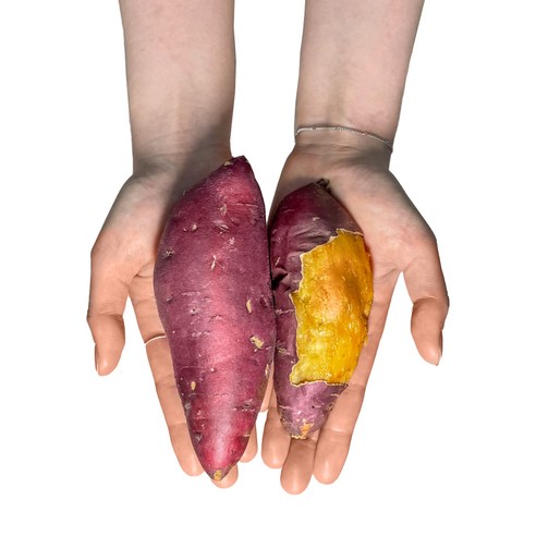 달콤한 황홀경, 도시농장 프리미엄 로얄벌꿀고구마로 빚는 풍요로운 식탁 도시농장