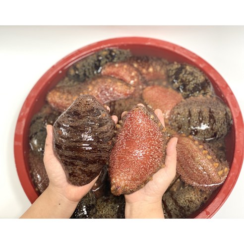 [잇팅나우ㅣ인기상품] 거제 감성해녀의 신선한 홍해삼 [EatingNOWㅣ추천상품]