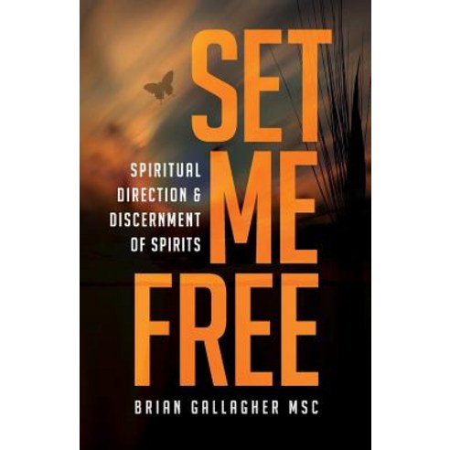 Set Me Free: Spiritual Direction & Discernment of Spirits Paperback, Coventry Press